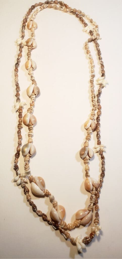 Double Stranded Sea Shell Necklace