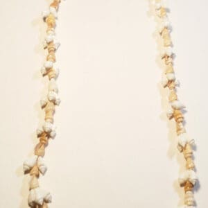 Long Neutral Shells Necklace