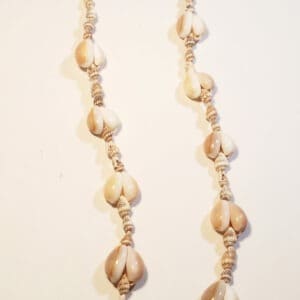 Timeless Beachy Shells Necklace