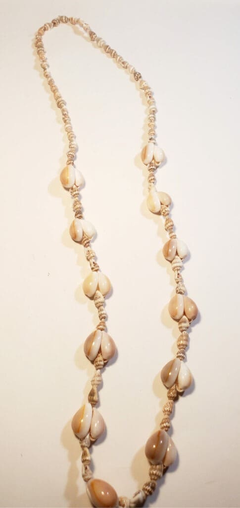 Timeless Beachy Shells Necklace